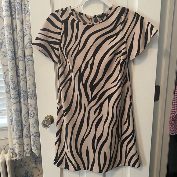 Ann Taylor zebra print dress - Picture 1 of 4